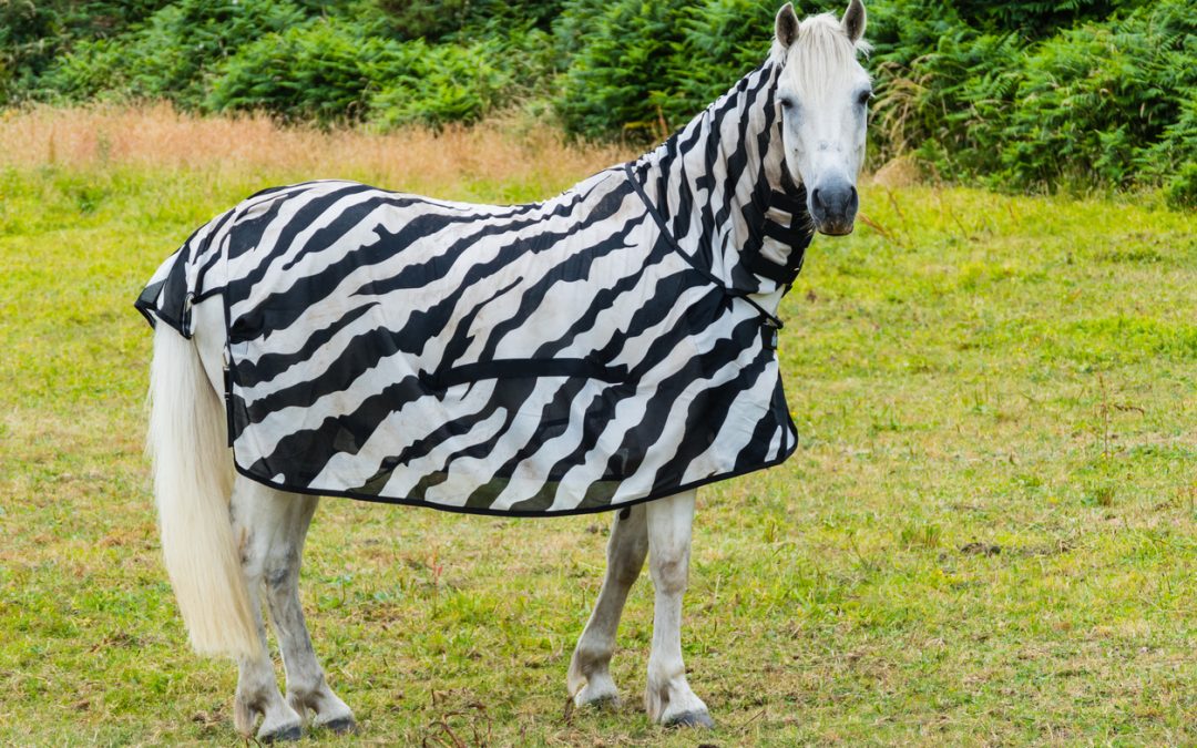 Question Your Assumptions