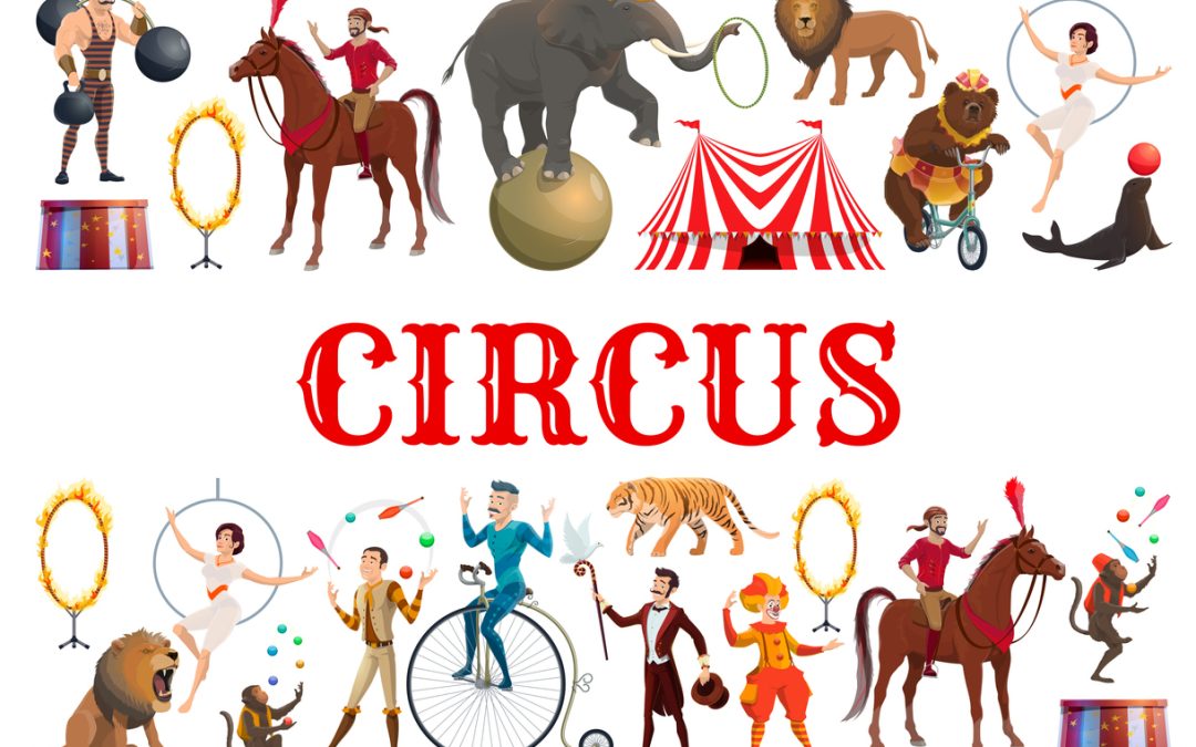 Not My Circus, Not My Monkeys