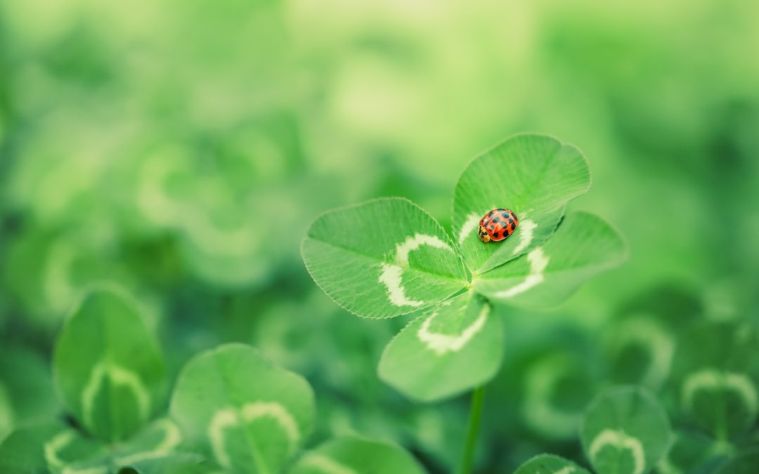 Luck Happens When Opportunity Meets Preparation