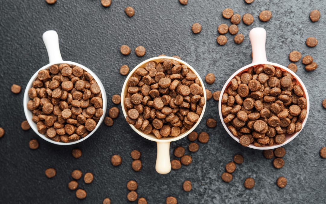 Eat Your Own Dogfood