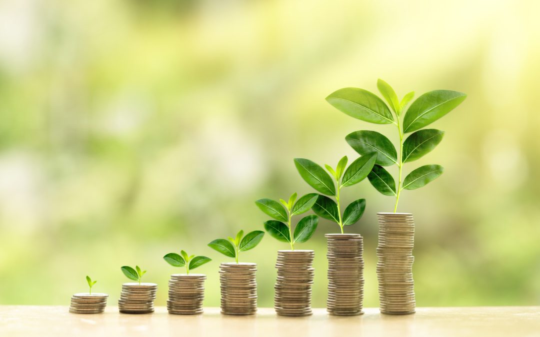 Income Versus Asset Growth