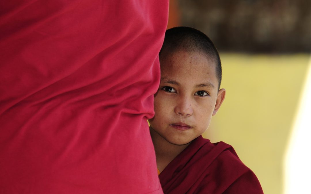 Learning with Beginner Mind