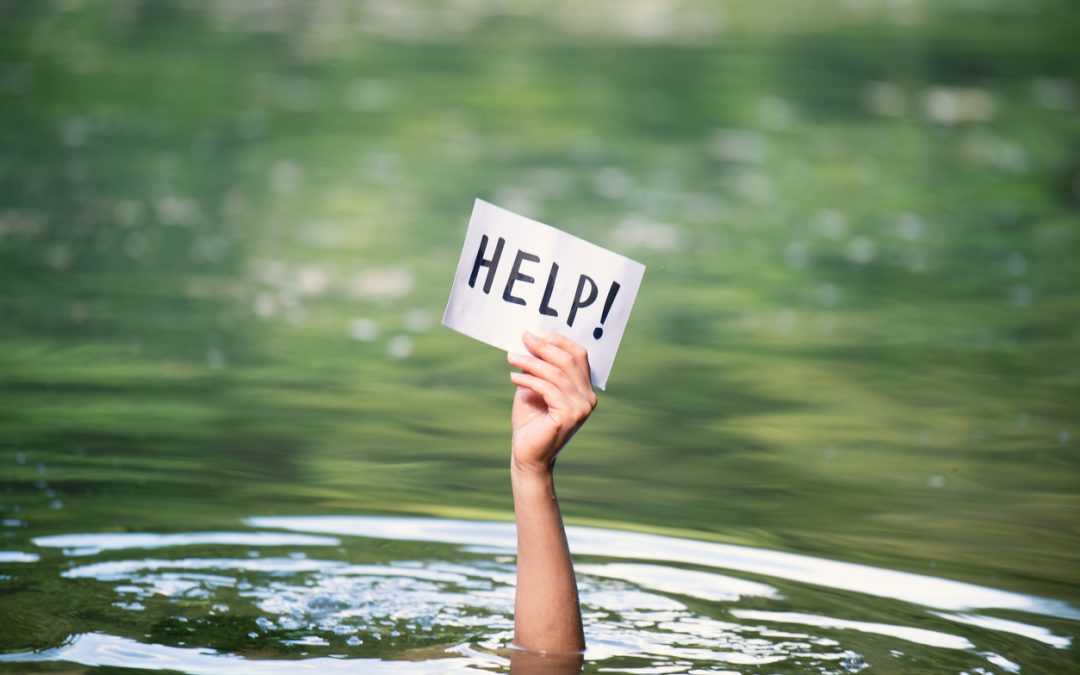 Need More? Create More Value