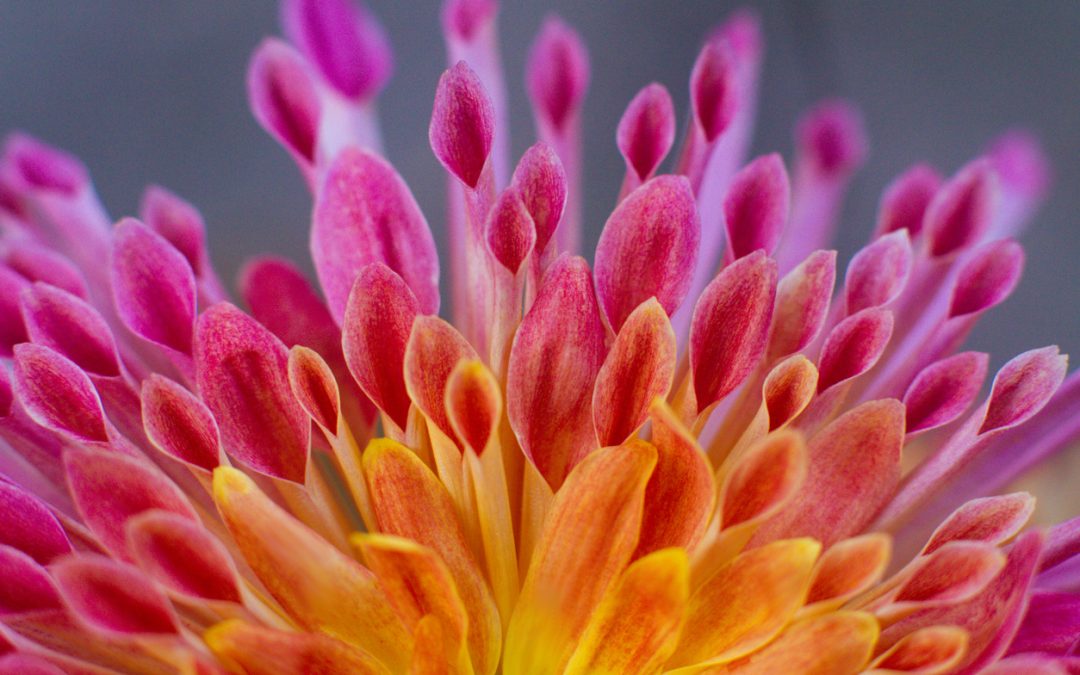 The Devil is in the Detail