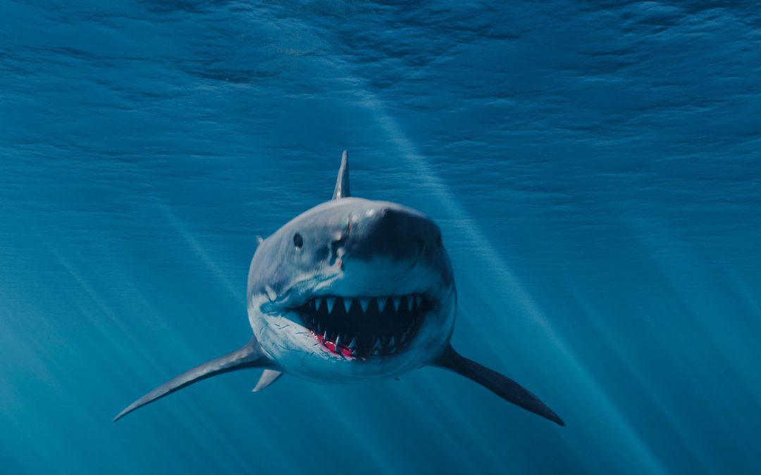 Rescuing Defeat from the Jaws of Victory