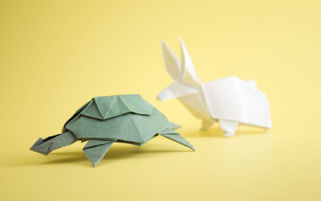 Growing a Sustainable Business