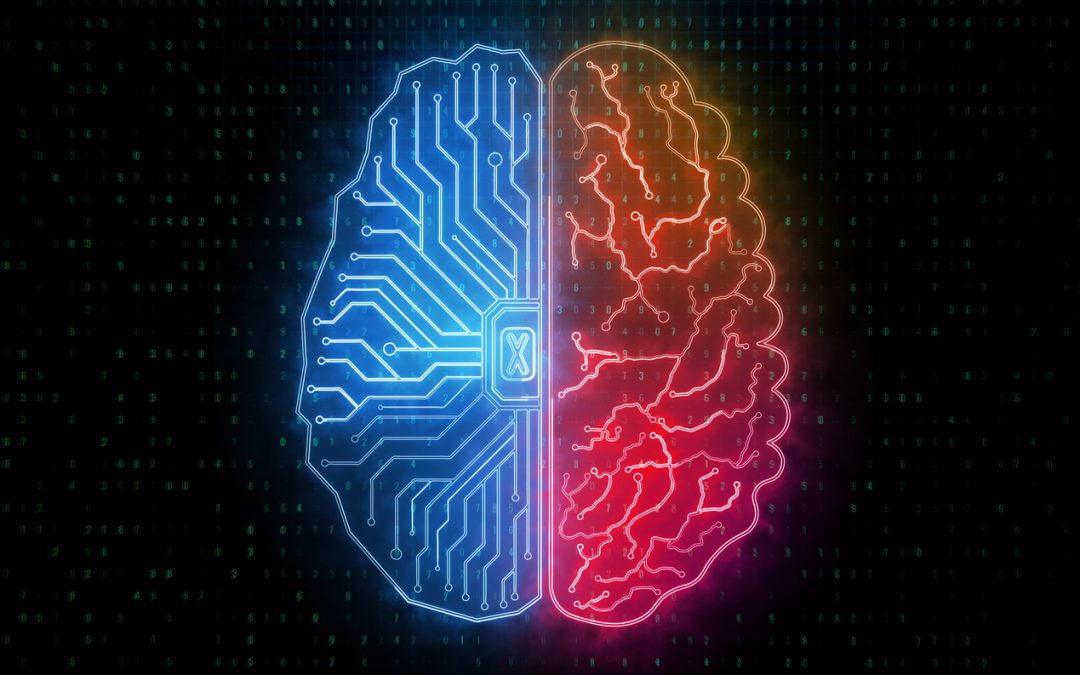 The Software Between Your Ears